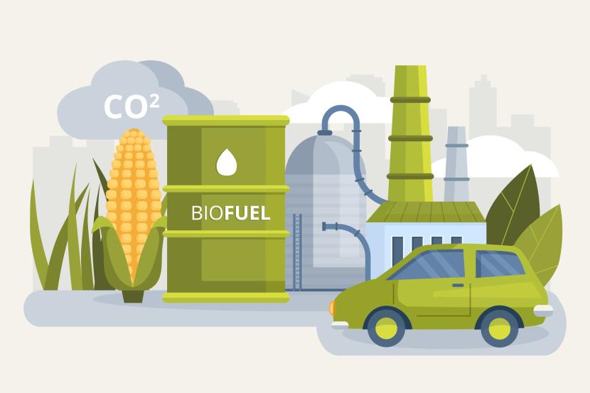 Bahan bakar yang bersumber dari biomassa dan biofuel dinilai berdampak negatif baik untuk kelestarian lingkungan maupun kesejahteraan masyarakat.
