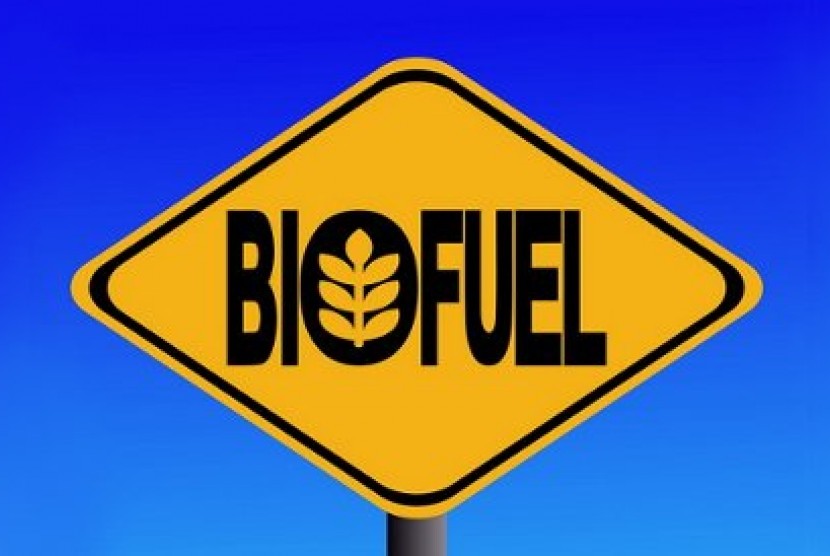 Biofuel (ilustrasi).