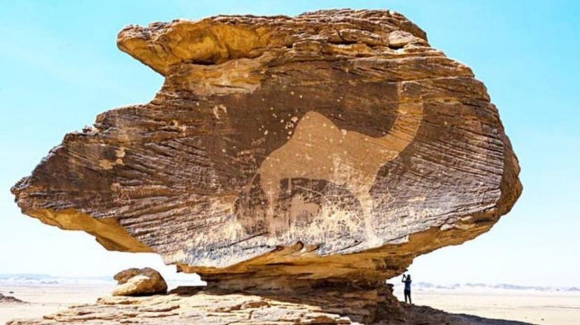 Petroglif Batu Bir Hima Saudi Miliki Gambar Unta Raksasa. Bir Hima di Najran di barat daya Arab Saudi merupakan salah satu situs seni cadas di Najran yang berisi banyak petroglif, termasuk unta. 