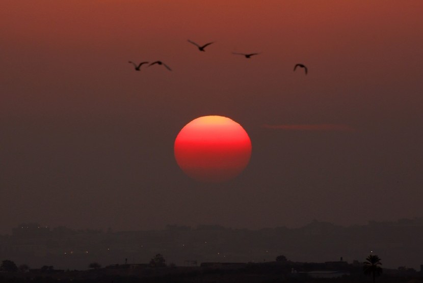 Birds fly as the sun sets over the northern Gaza Strip November 20, 2012. A Hamas official said on Tuesday Egypt had brokered a Gaza ceasefire deal that would go into effect within hours, but a spokesman for Israeli Prime Minister Benjamin Netanyahu said 