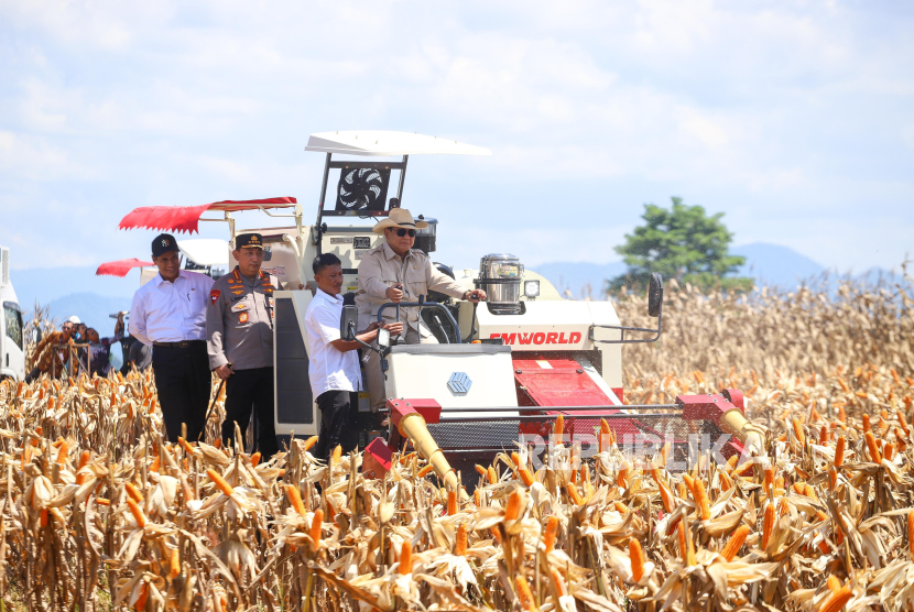 Dalam Panen Raya Jagung Serentak Kuartal II Tahun 2025 yang digelar di Kabupaten Bengkayang, Kalimantan Barat, Presiden Prabowo Subianto menegaskan komitmennya untuk mewujudkan swasembada pangan nasional.