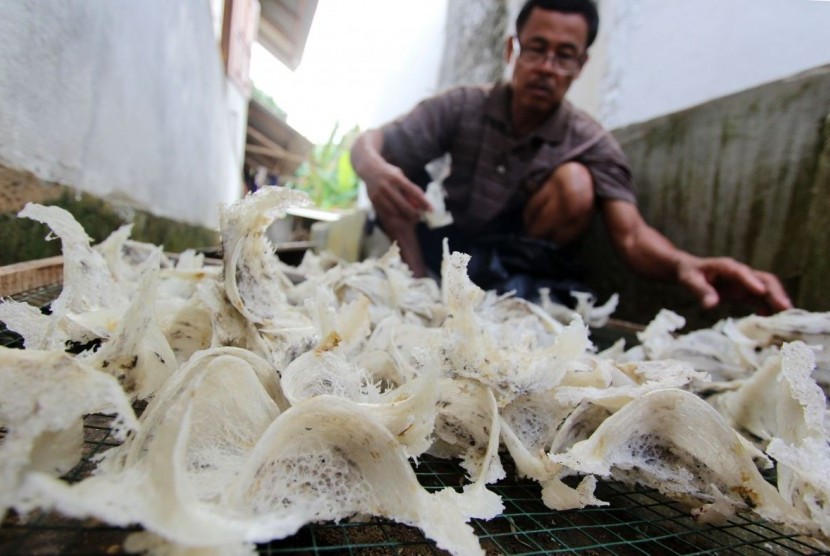 Tim Reskrim Polsek Kota Baru, Jambi, menangkap kawanan spesialis pelaku pencurian sarang walet yang beraksi di beberapa kawasan di Kota Jambi dan Kabupaten Muarojambi (Foto Sarang Walet)