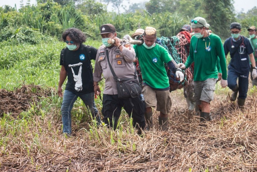 BKSDA Kalbar dan IAR Indonesia Selamatkan satu Individu Orang Utan yang kehilangan rumah akibat Karhutla di Desa Tanjungpura, Muara Pawan, Kabupaten Ketapang, Kalbar, Sabtu (28/9).