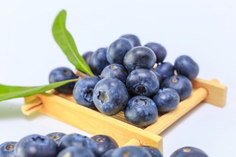 Bluberi (ilustrasi). Mengonsumsi buah bluberi setiap hari bisa membantu meringankan keluhan nyeri di punggung.