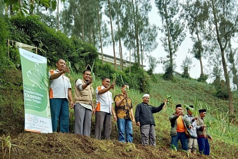 BMH dan CIMB Niaga Syariah membina mualaf Suku Tengger mengembangkan bawang prei.