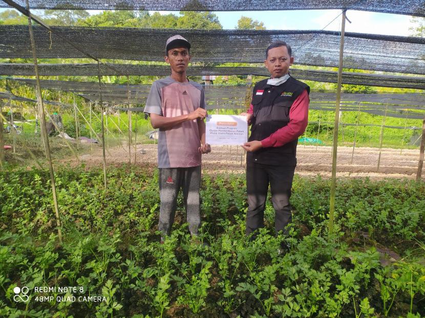 BMH memberikan  bantuan modal usaha untuk mengembangkan pertanian sawi daging di Karang Joang,  Balikpapan Utara.