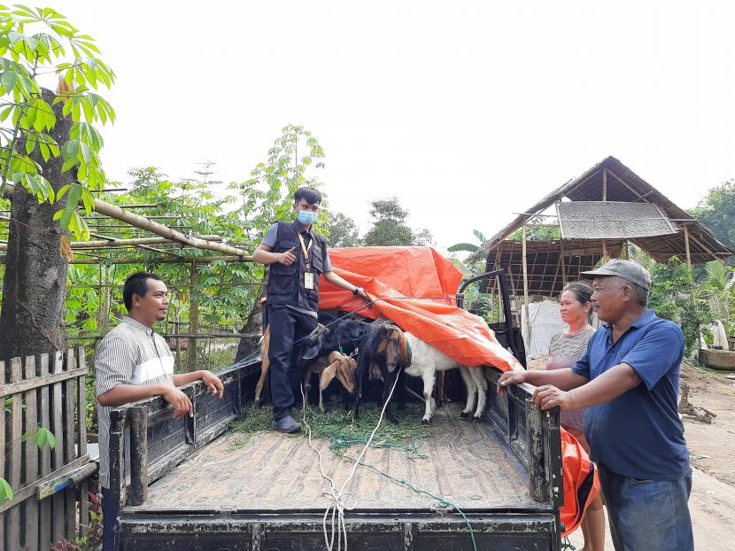 BMH mengembangkan program Ternak Berkah di Gowa, Jeneponto dan Pinrang, Sulawesi Selatan.