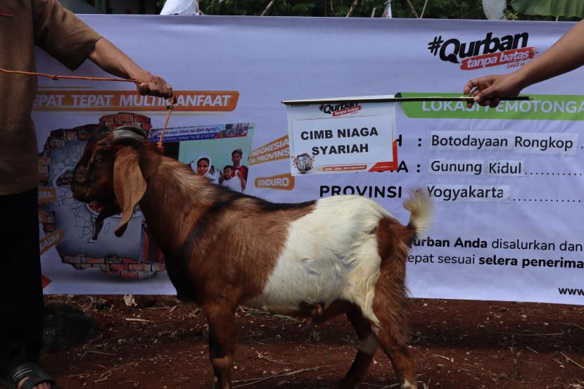 BMH  menyalurkan hewan qurban ke desa tiga di Gunung Kidul, Yogyakarta.