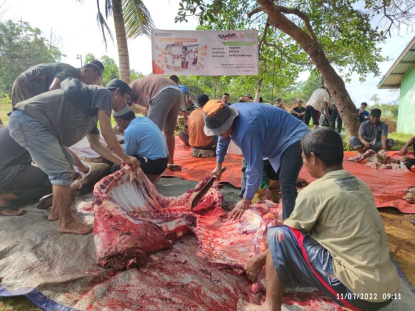 BMH menyalurkan hewan qurban kepada santri tahfidz dan petani kecil di Toapaya, Bintan, Senin (11/7/2022).
