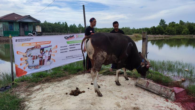BMH Perwakilan Kalimantan Utara menyalurkan daging qurban kepada 764 warga  dan 326 santri yang berada di wilayah Kota Tarakan, Ahad (10/7/2022). 