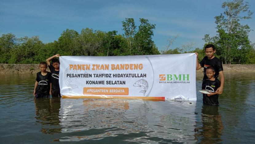 BMH Perwakilan Sulawesi Tenggara menggelar panen ikan bandeng di tambak Pesantren Tahfizh Hidayatullah Konawe Selatan.
