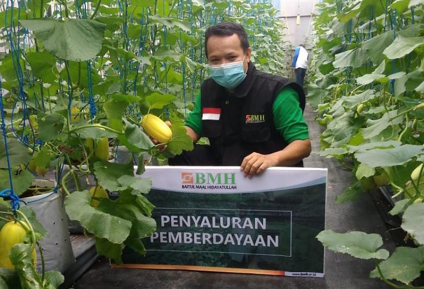 BMH Perwakilan Yogyakarta melakukan pemberdayaan ekonomi pesantren melalui kebun hidroponik.