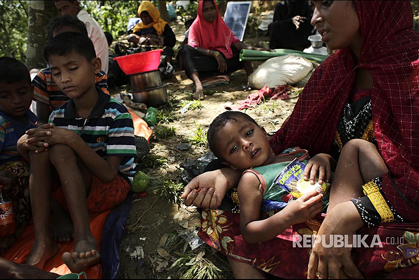 Rohingya boy in refugee camp with other refugees sheltering in a tree in Ukhiya, Cox's Bazaar, Bangladesh.