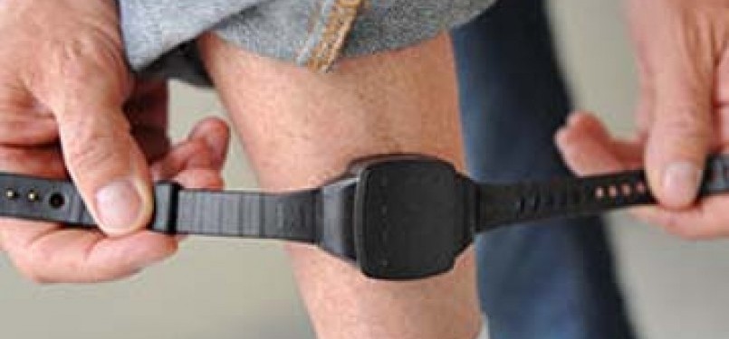 Borgol kaki elektronik