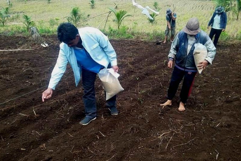 BPTP Baitbangtan Sulut lakukan pendampingan tanam padi ladang