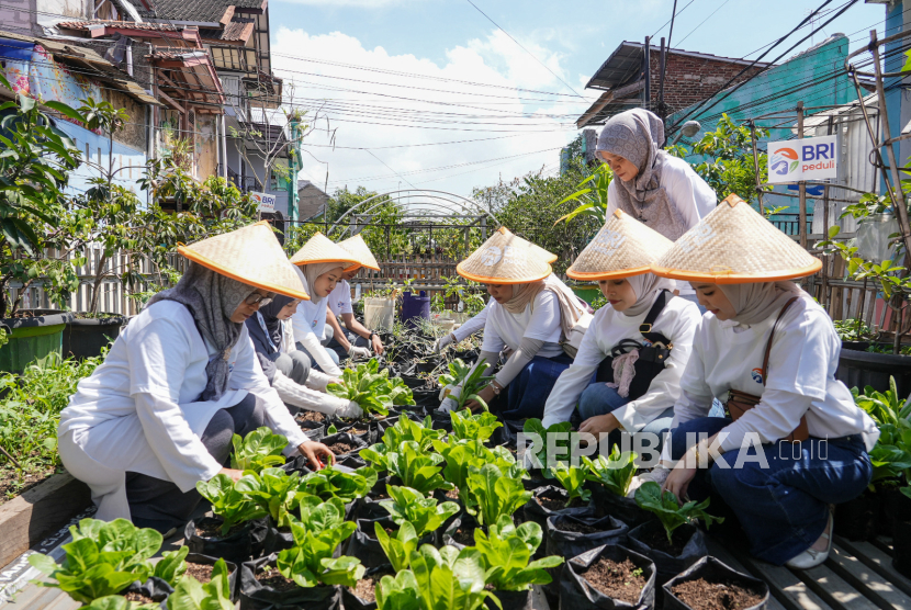 Peringati Hari Pangan Sedunia, BRI Peduli Dukung Ketahanan Pangan Melalui Panen Raya BRInita