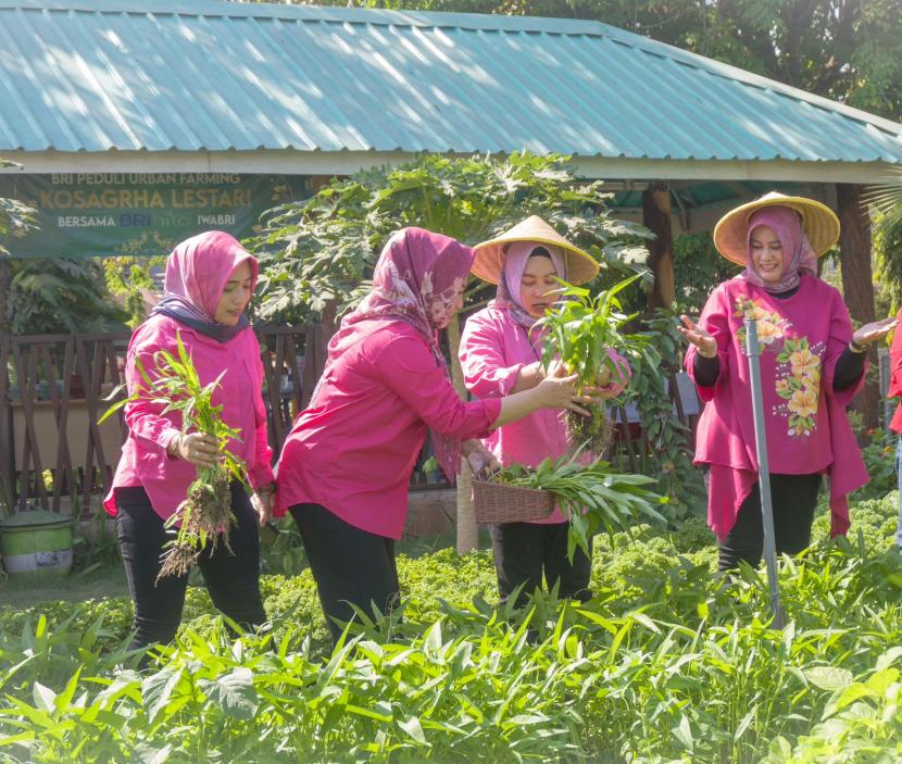 BRI melalui aktivitas Corporate Social Responsibility (CSR) mengambil bagian dalam mendukung peran wanita melalui berbagai macam program pemberdayaan yang secara nyata mampu mendorong kesejahteraan wanita Indonesia. Salah satunya melalui penyelenggaraan Program BRInita (BRI Bertani di Kota).