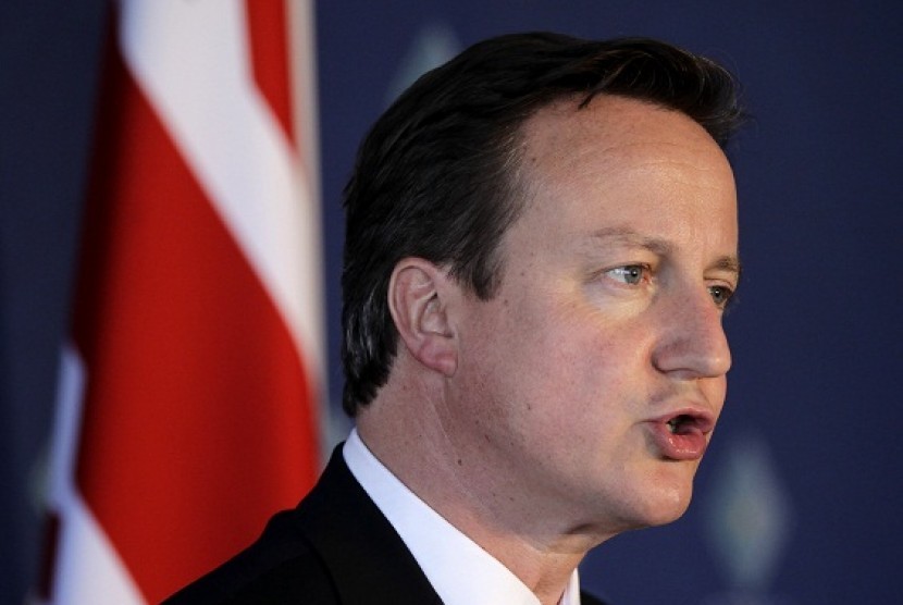 Britain's Prime Minister David Cameron speaks during a news conference on the second day of the G20 Summit in Los Cabos, Mexico June 19, 2012.  