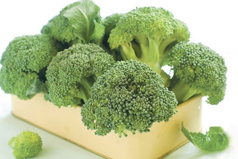 Brokoli (Ilustrasi)