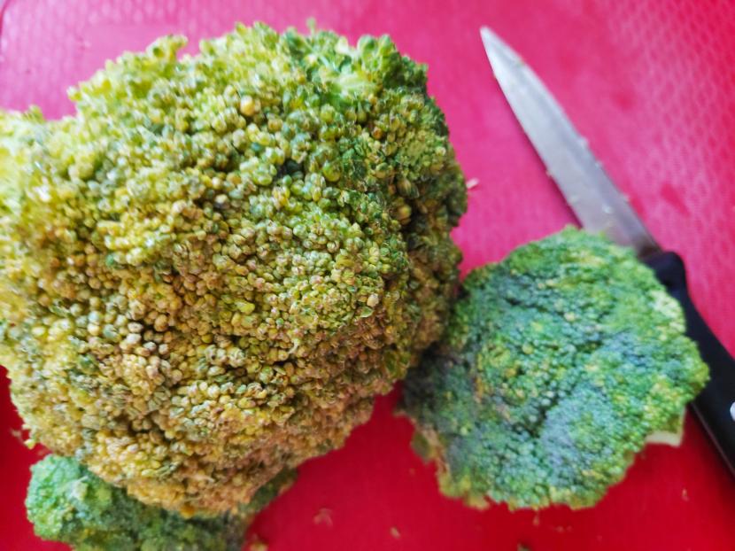 Brokoli yang sudah menguning. Brokoli termasuk sayuran yang tak tahan disimpan lama. 