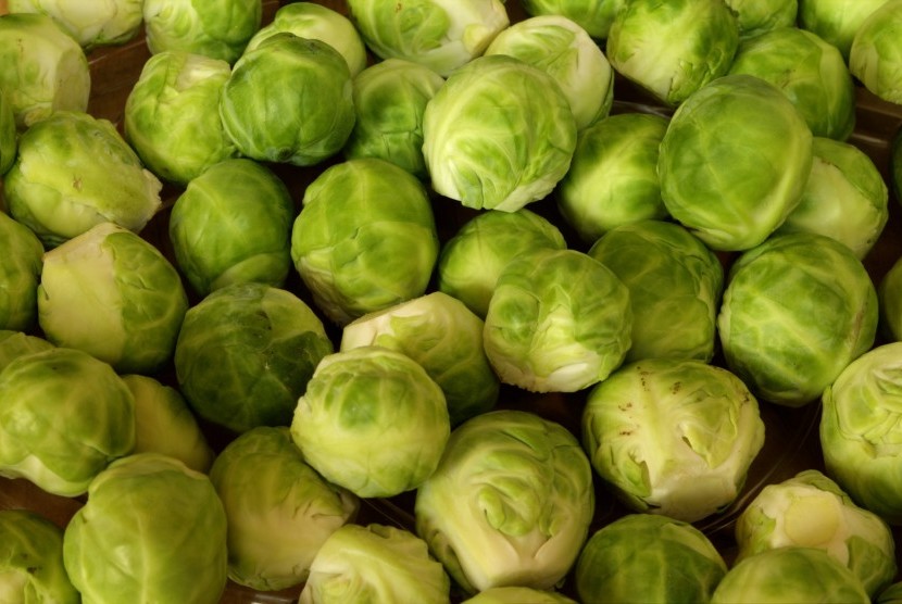 Brussel Sprouts, makanan kaya magnesium pencegan migrain.