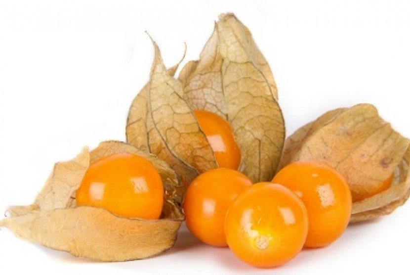 Buah beri emas atau cape gooseberry dari Kolombia dan Peru, dikenal kaya vitamin, serat, kalium dan seng.