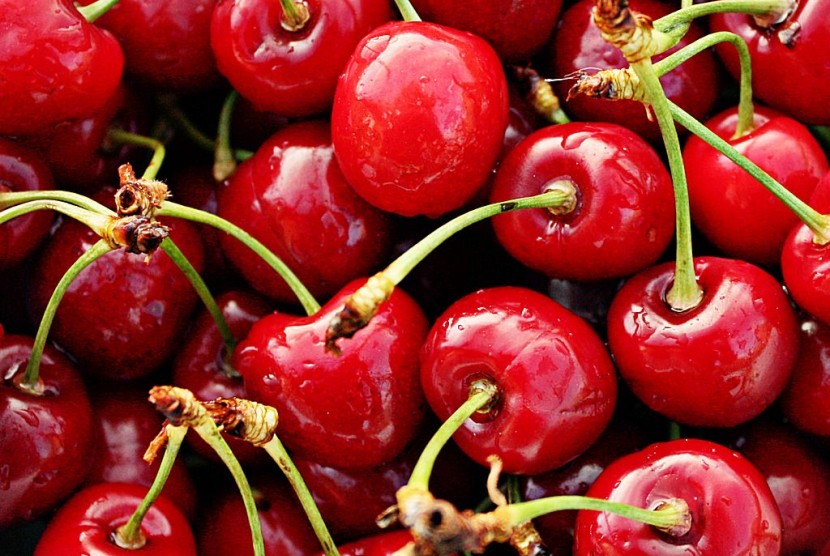 Manfaat buah ceri bagi kesehatan yang jarang diketahui banyak orang. (ilustrasi)
