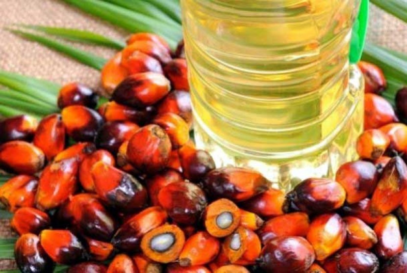 Palm oil. (Illustration)