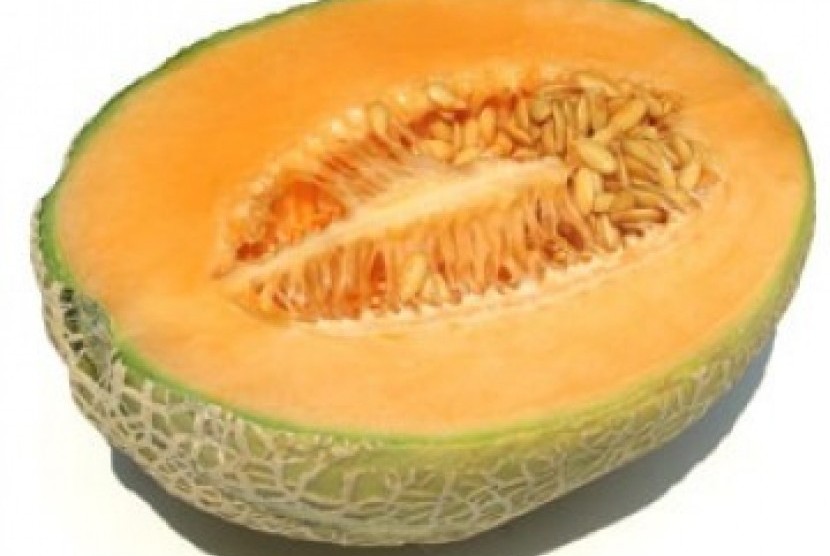 Buah Melon, ilustrasi