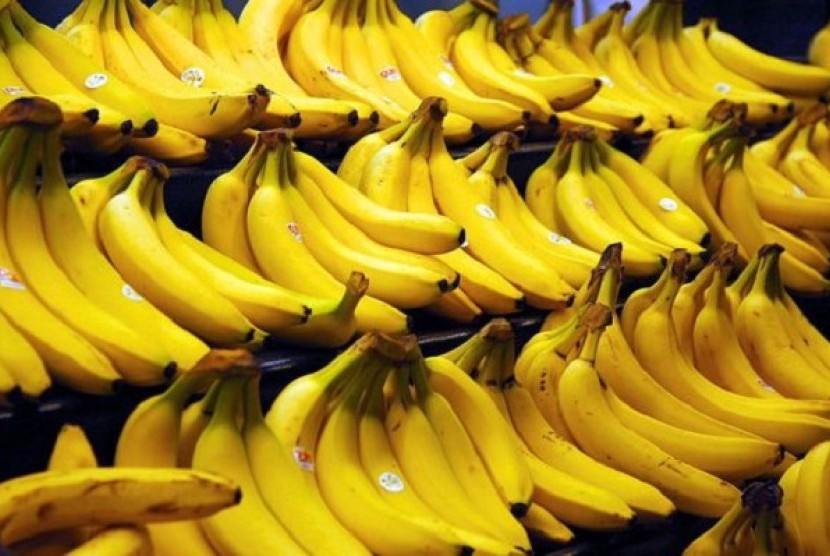 Buah Pisang. Ilustrasi Gubernur Jawa Timur Khofifah Indar Parawansa mengaku pihaknya terus menggeber perluasan akses ekspor pisang ke pasar global.