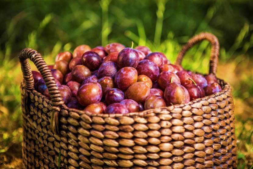 Buah plum bisa diolah sebagai saus untuk dituang ke atas pastry almond.