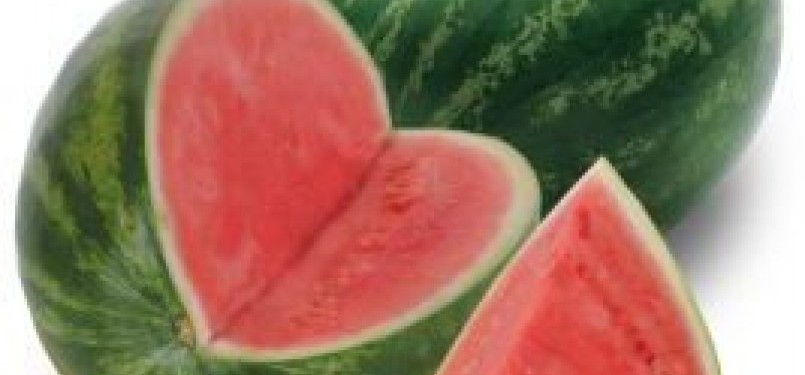 Buah semangka, ilustrasi