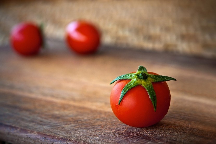 Buah tomat 