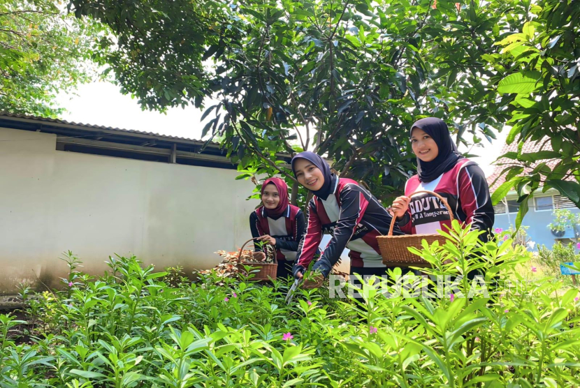 Budidaya gingseng di Lapas Kelas II A Tangerang.