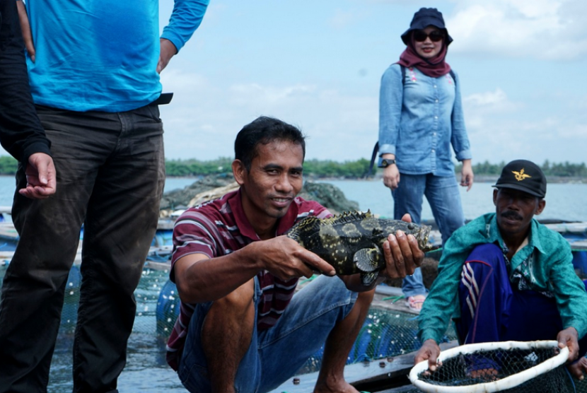 Budidaya ikan kerapu di Sumberwaru, Situbondo, Jawa Timur. 