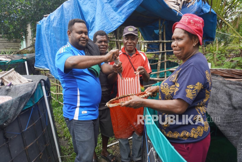 Kemampuan memanfaatkan potensi lokal membuat warga Desa Mosun, Kecamatan Aifat Utara, Maybrat, Papua Barat Daya kian berdaya. Salah satunya dengan perikanan ikan tawar jenis lele.