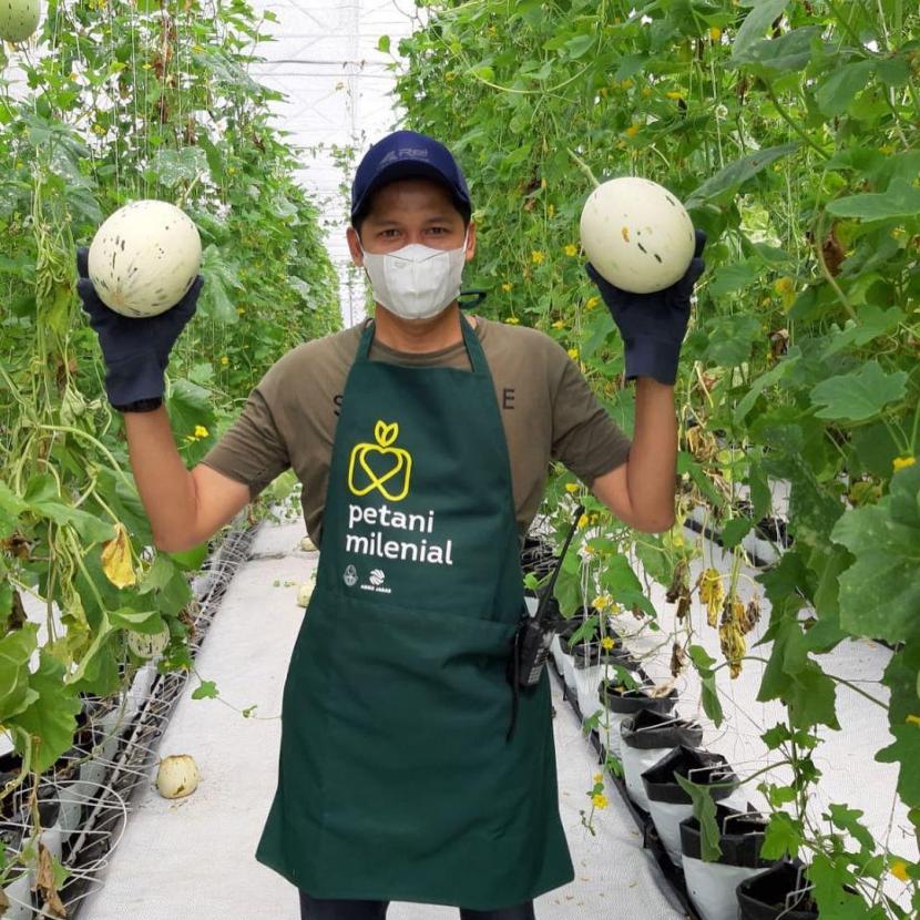 Budidaya melon dan paprika menggunakna sistem hidroponik dalam Smart Greenhouse.