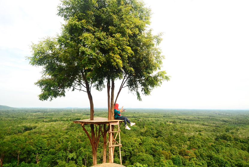 Bukit Gebang Desa Nangka