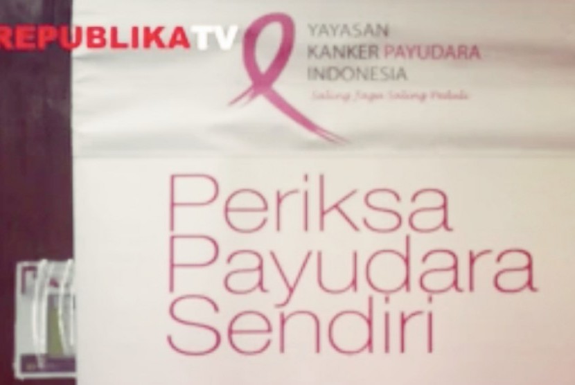 Bulan peduli kanker payudara Internasional 