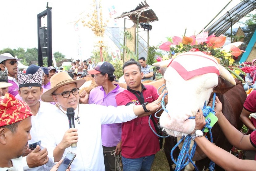 Bupati Banyuwangi Abdulllah Azwar Anas (memegang microphone) terlihat memegang seekor hewan ternak saat perkenalan kartu elektronik ternak (e-Nak) pada Festival Hewan Ternak (Cattle and Pets Festival) di Lapangan Glagah Agung, Purwoharjo, Banyuwangi, Jawa Timur, Ahad (4/8). 
