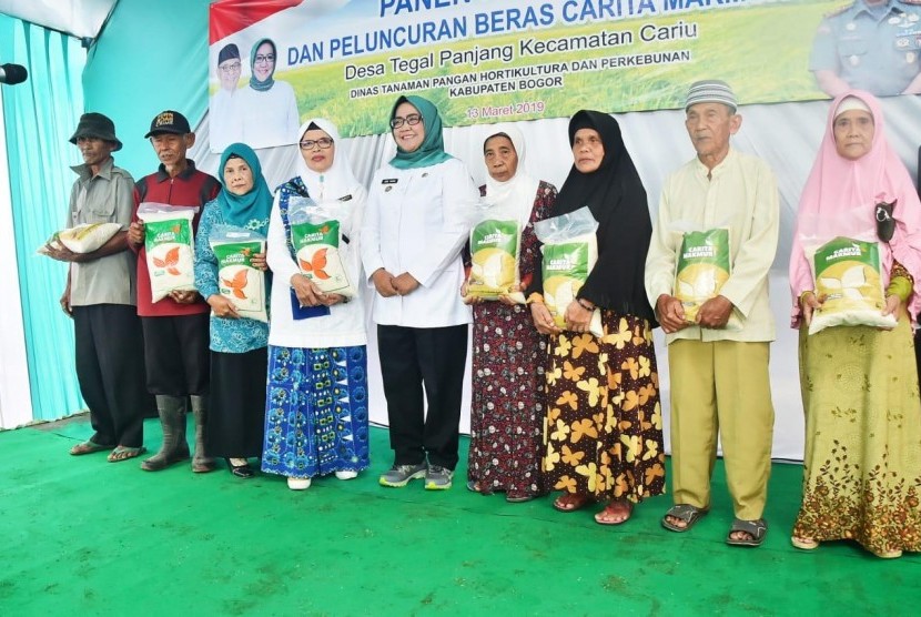 Bupati Bogor, Ade Yasin menghadiri Panen Raya Padi di Desa Tegal Panjang, Kecamatan Cariu, yang menjadi rangkaian kegiatan Boling (Rebo Keliling), Rabu (13/3).