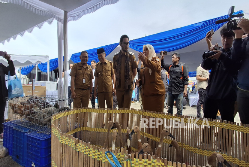 Bandung Barat Punya RPH Baru, Sehari Bisa Jagal Ratusan Ekor