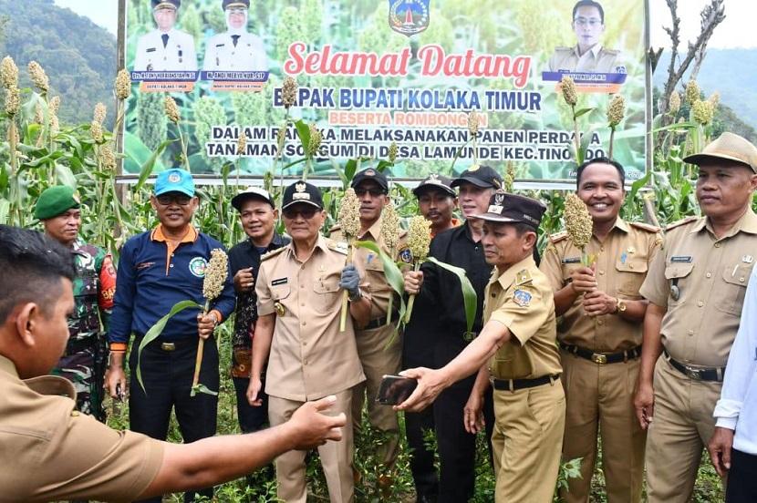 Bupati Kolaka Timur, Provinsi Sulawesi Tenggara, Tony Herbiansyah menegaskan akan terus mendukung dan mendorong petani guna mengembangkan tanaman sorgum sehingga Kolaka Timur menjadi lumbung sorgum.