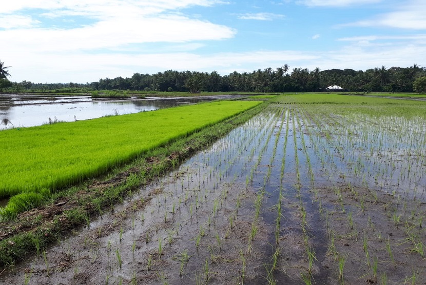 Bupati Kulonprogo, Daerah Istimewa Yogyakarta, Sutedjo memastikan stok bahan pangan di wilayahnya aman hingga hingga akhir Desember 2020. Oleh karena itu, warga tidak perlu khawatir.