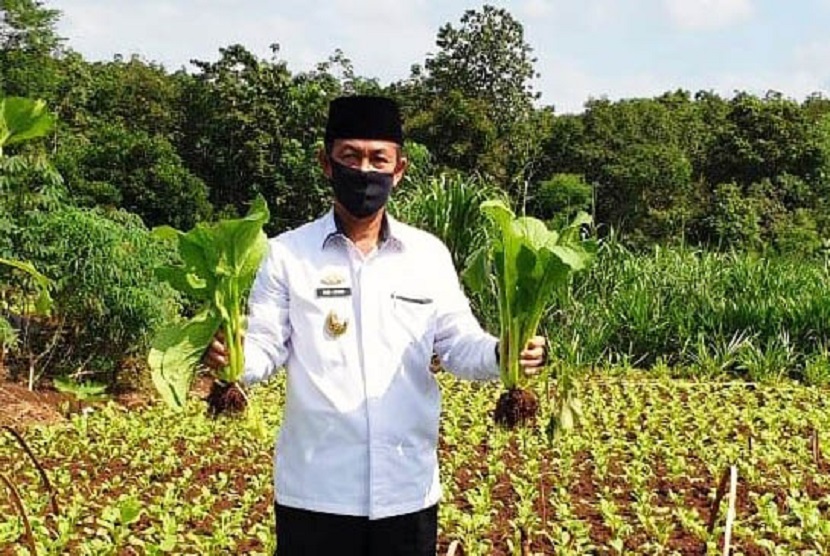Bupati Lampung Utara Budi Utomo. Budi Utomo menyatakan pemberdayaan Balai Penyuluhan Pertanian dengan Komando Strategis Pembangunan Pertanian (BPP Kostratani) merupakan 
