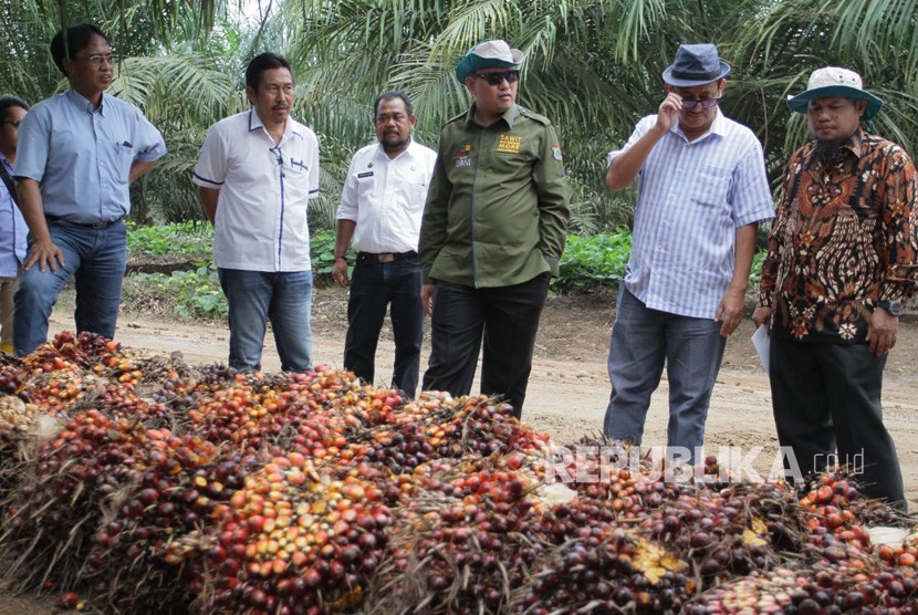 Bupati Muba Dodi Reza Alex Noerdin melalui Wakil Bupati Kabupaten Musi Banyuasin Beni Hernedi memimpin langsung rombongan petani sawit berkunjung ke Kabupaten Serdang Bedagai Provinsi Sumatera Utara dalam rangka Studi Banding Pengolahan Batang Sawit menjadi Gula Merah, Rabu (24/7/2019).