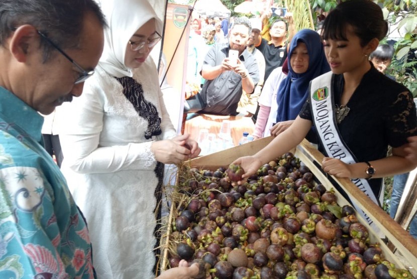 Bupati Purwakarta Anne Ratna Mustika dan Direktur Pengolahan dan Pemasaran Hasil Hortikultura Kementerian Pertanian Yasid Taufik, saat menghadiri Festival Manggis Purwakarta 2019, Sabtu (23/3).