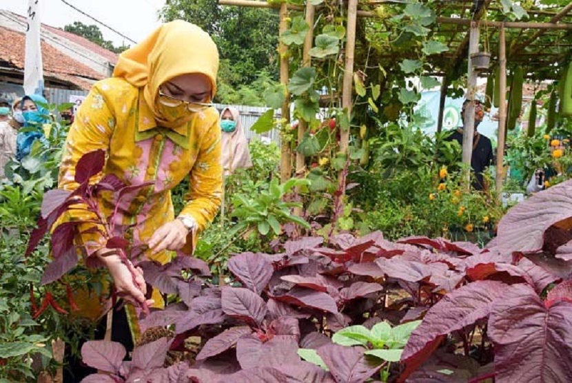  Bupati Purwakarta, Anne Ratna Mustika menyambangi KWT Bina Lestari untuk meresmikan Hibar Eco Village, Jumat pekan lalu (11/9)