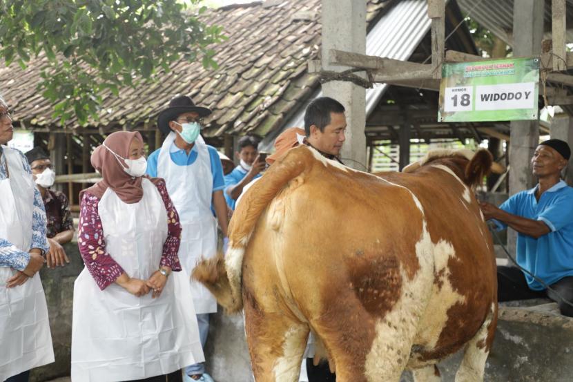 Bupati Sleman, Kustini Sri Purnomo, meluncurkan vaksinasi perdana virus Lumpy Skin Disease (LSD) pada hewan ternak khususnya sapi dan kerbau di Kabupaten Sleman.