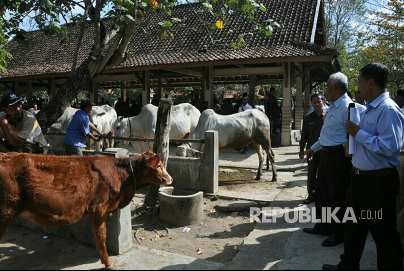 Bupati Sleman, Sri Purnomo, melakukan pantauan ketersediaan hewan kurban di Pasar Hewan Gamping, Sleman, Selasa (15/8). 